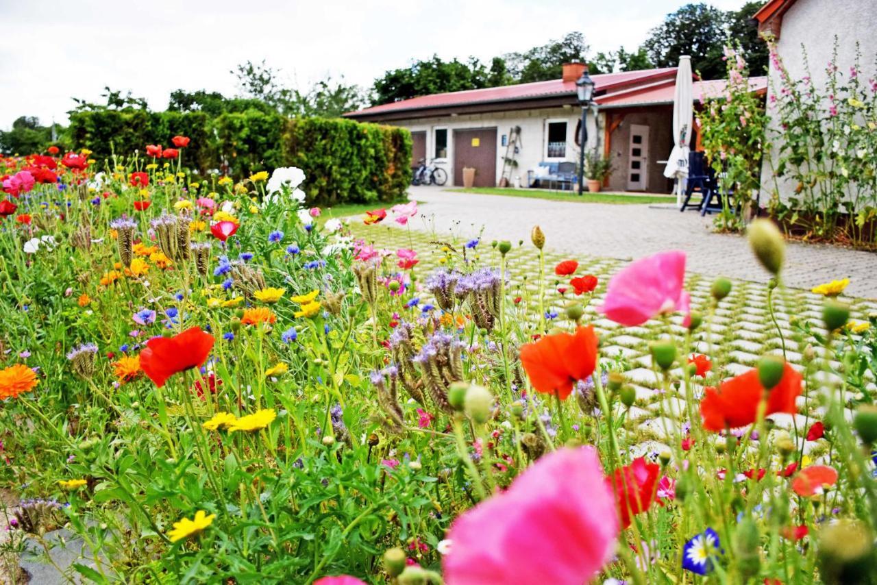 Ferienwohnungen Auf Dem Pommernhof Samtens Екстер'єр фото